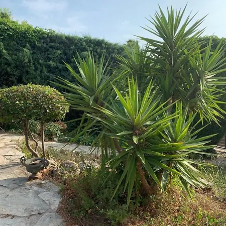 Ferienhaus Soledad *