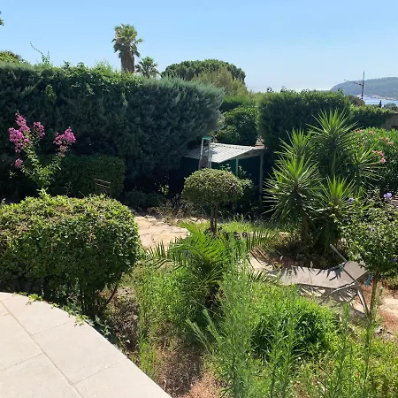 Soledad Cassis